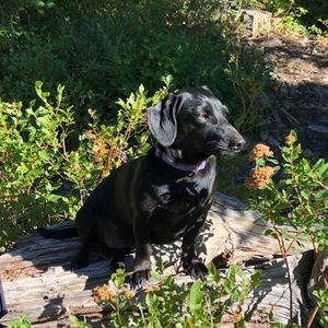 Meet your Posher, Sally